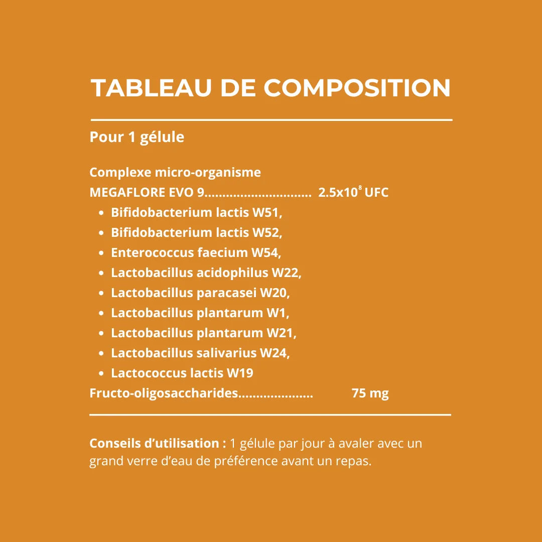 BIOCIFLORE - Équilibre et confort intestinal
