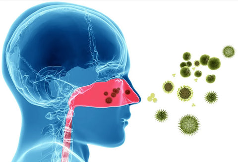 La Rhinité Allergique : Comprendre, Diagnostiquer et Traiter