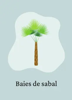 Baies de sabal