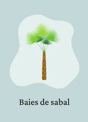 Baie de Sabal