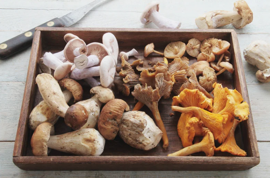 champignons