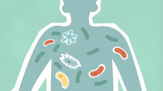 probiotiques prébiotiques