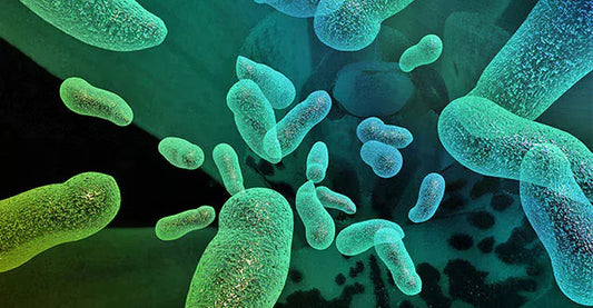 Les troubles du confort urinaire