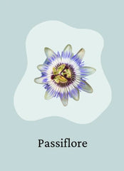 Passiflore