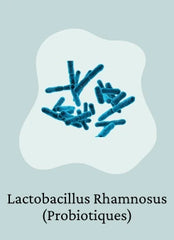 Lactobacillus Rhamnosus (Probiotiques)