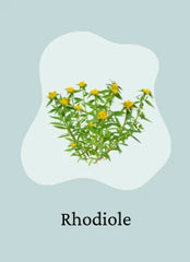 Rhodiole