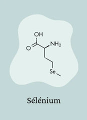 Sélénium