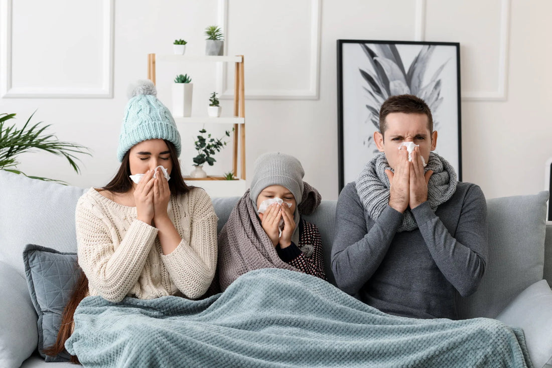 Les maladies d'hiver : comment les repérer et les traiter