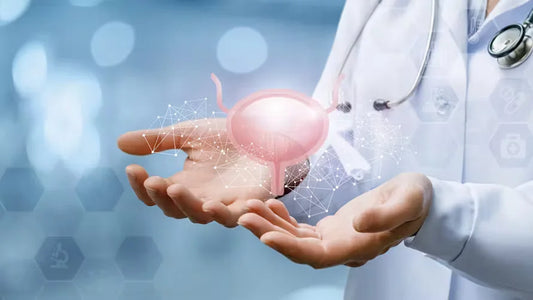 Les infections urinaires